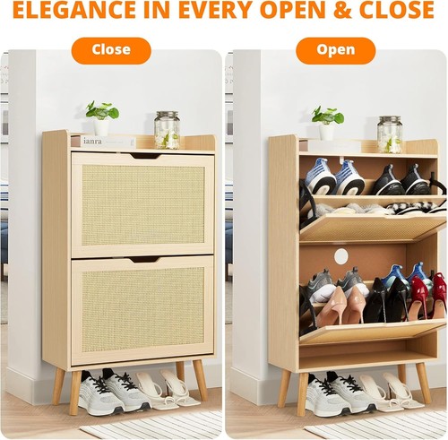 Tier shoe cabinet with - 2-tier,