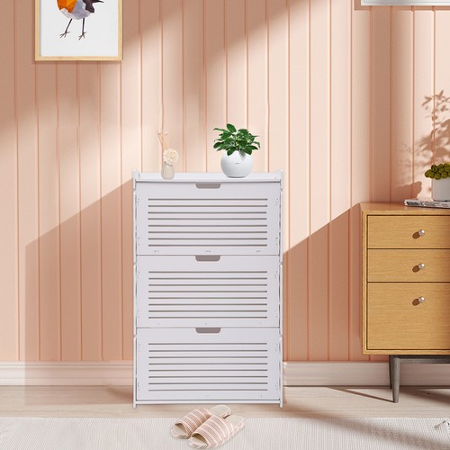 Shoe storage cabinet - storage,
